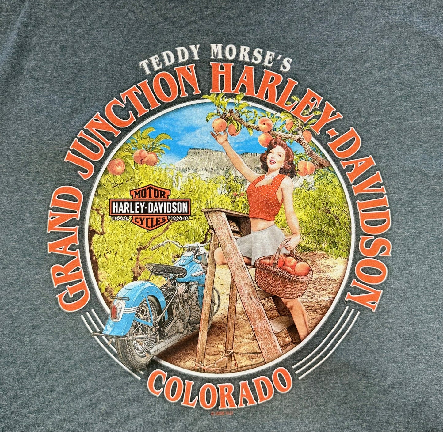 Carbon T Shirt