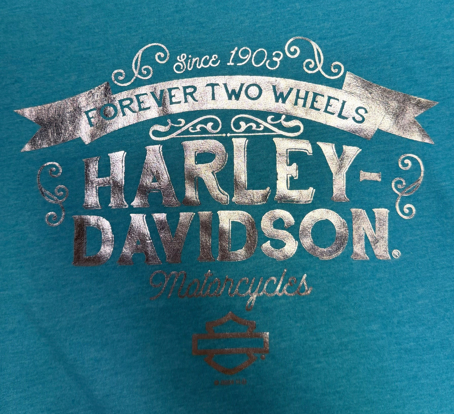 Ladies Long Sleeve T