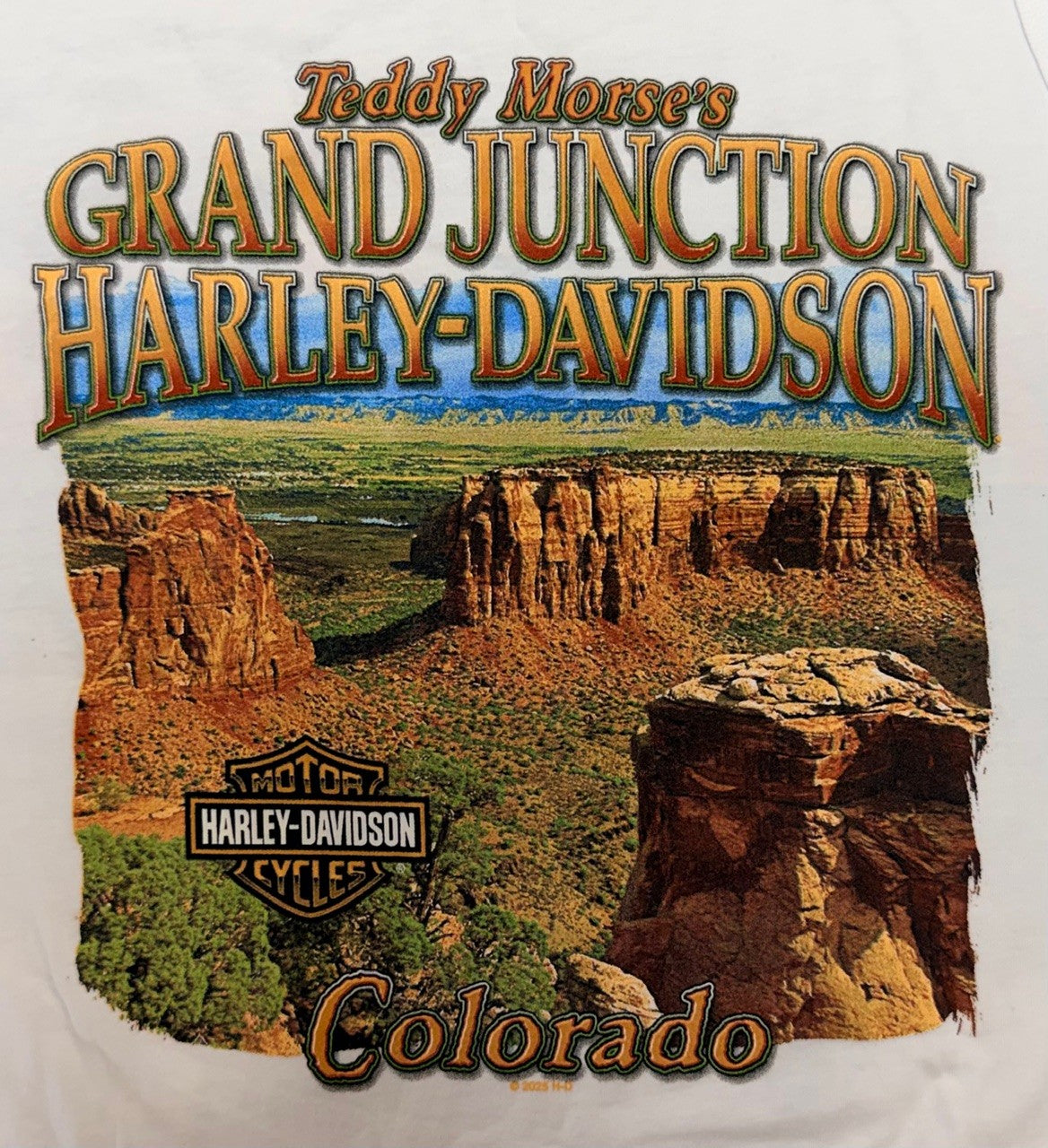 Men's Ride Hard Tank
