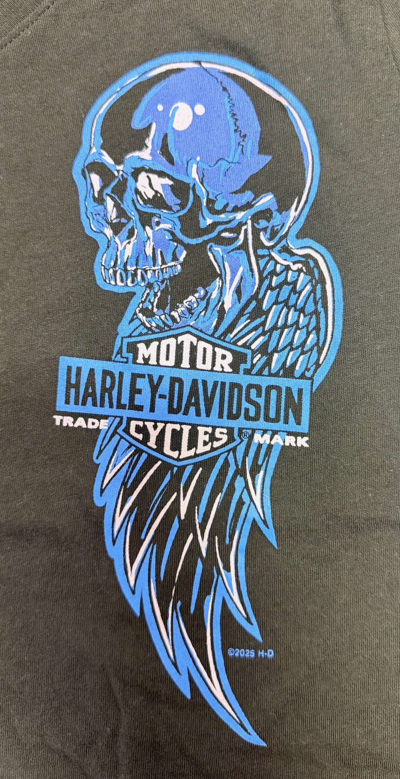 Ladies Skull Wing T