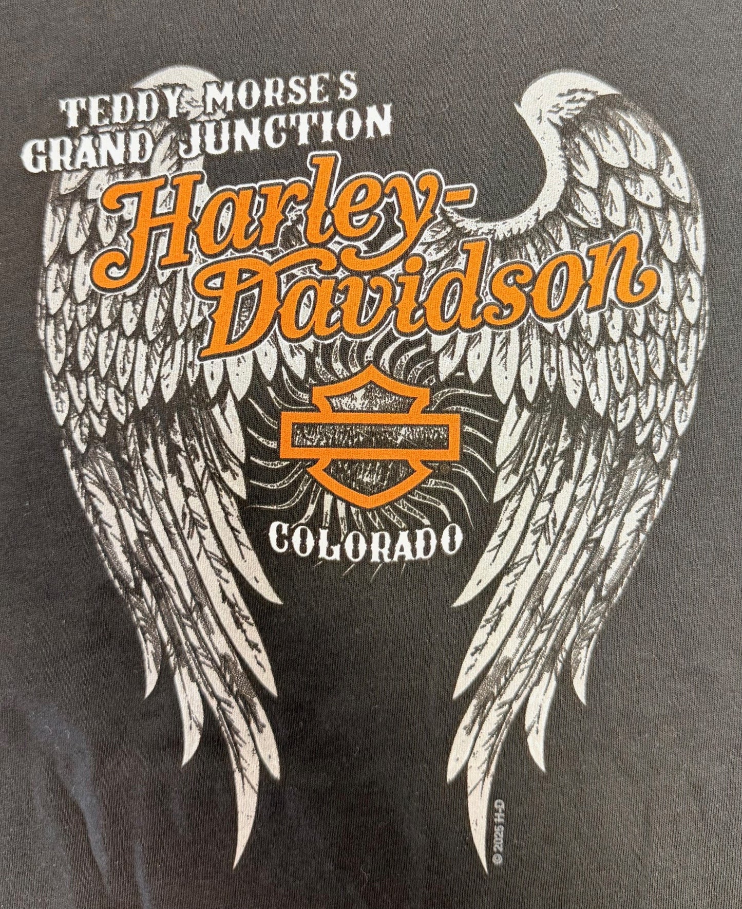 Ladies Skull Wing T