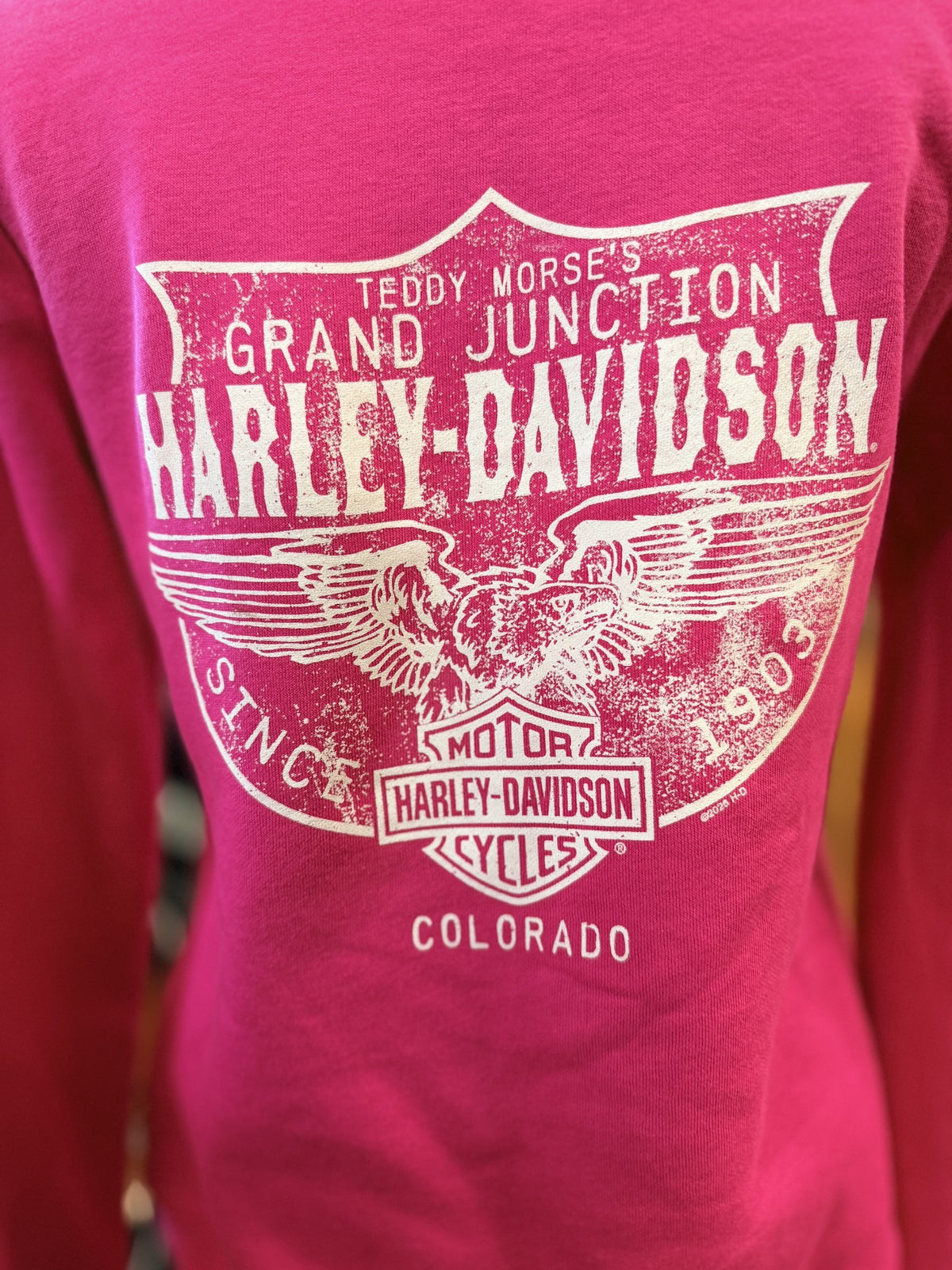 Ladies Bright Wings Hoodie
