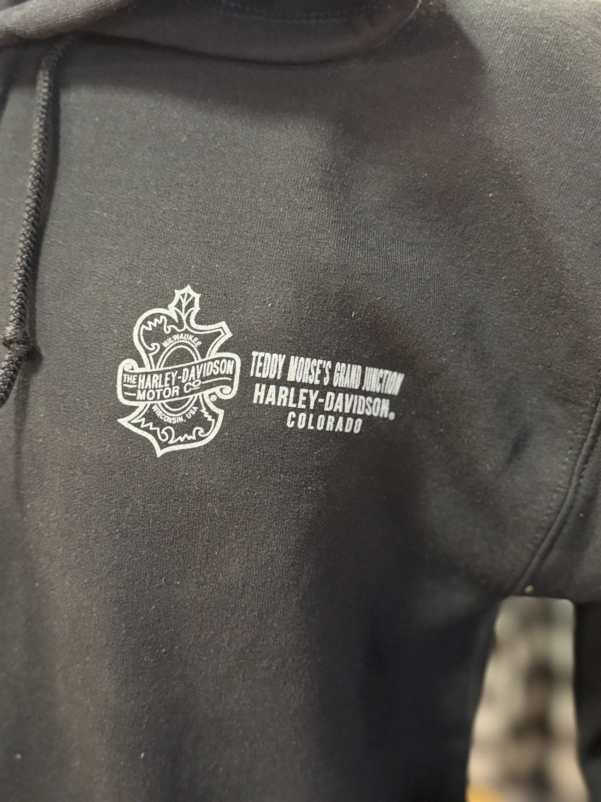 Men's Inscribe Zip Hoodie